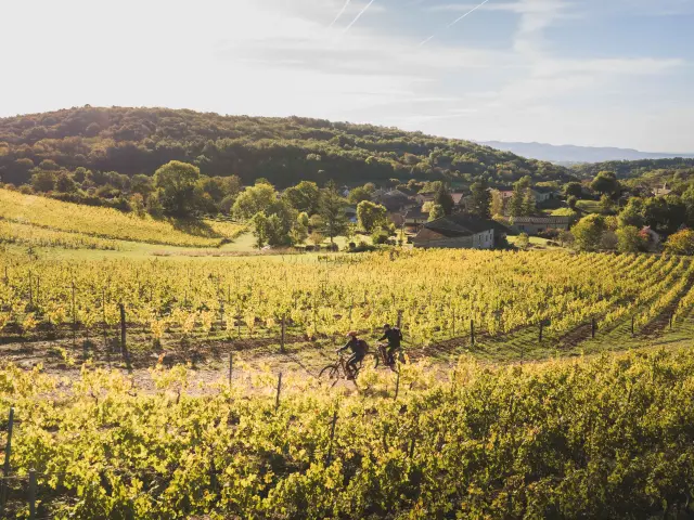 Week End Bourg En Bresse Revermontmizenboite Bourg En Bresse Destinations 40