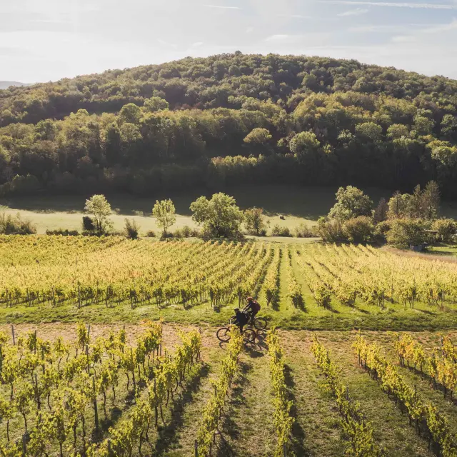 Week End Bourg En Bresse Revermontmizenboite Bourg En Bresse Destinations 41