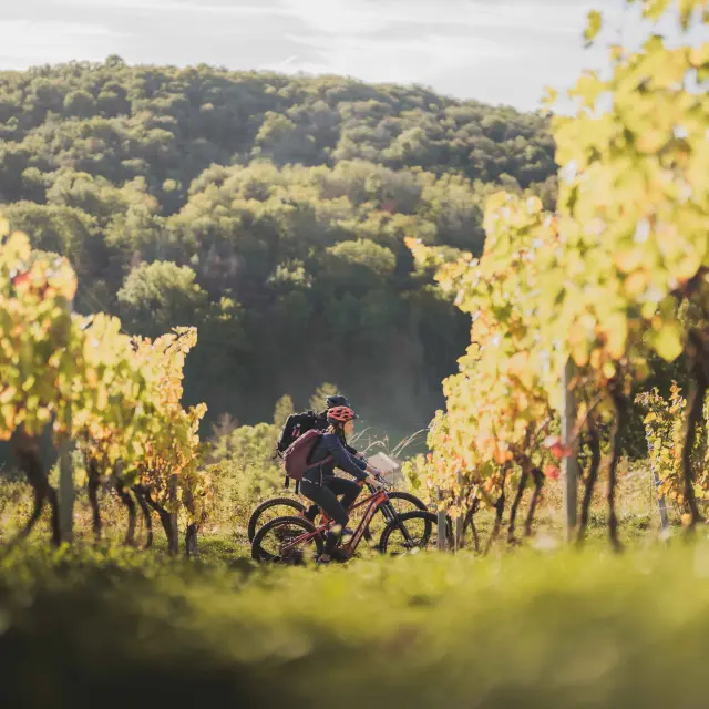 Week End Bourg Et Revermontmizenboite–montagnes Du Jura 11