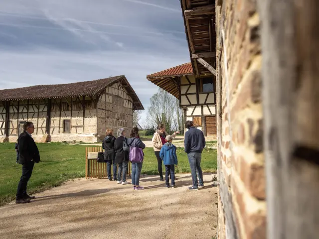 042 Lafermedelaforet Avril2024morganemonneret