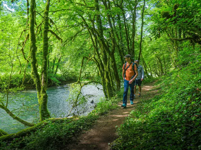 Bourg En Bresse Destinations Rives Du Suran Et Abords De Labri Du Roseau David Genestal Mai 2024