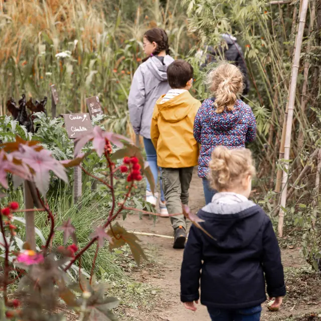 Fete Du Vincuit Ferme De La Foret Courtesmorgane Monneret 64