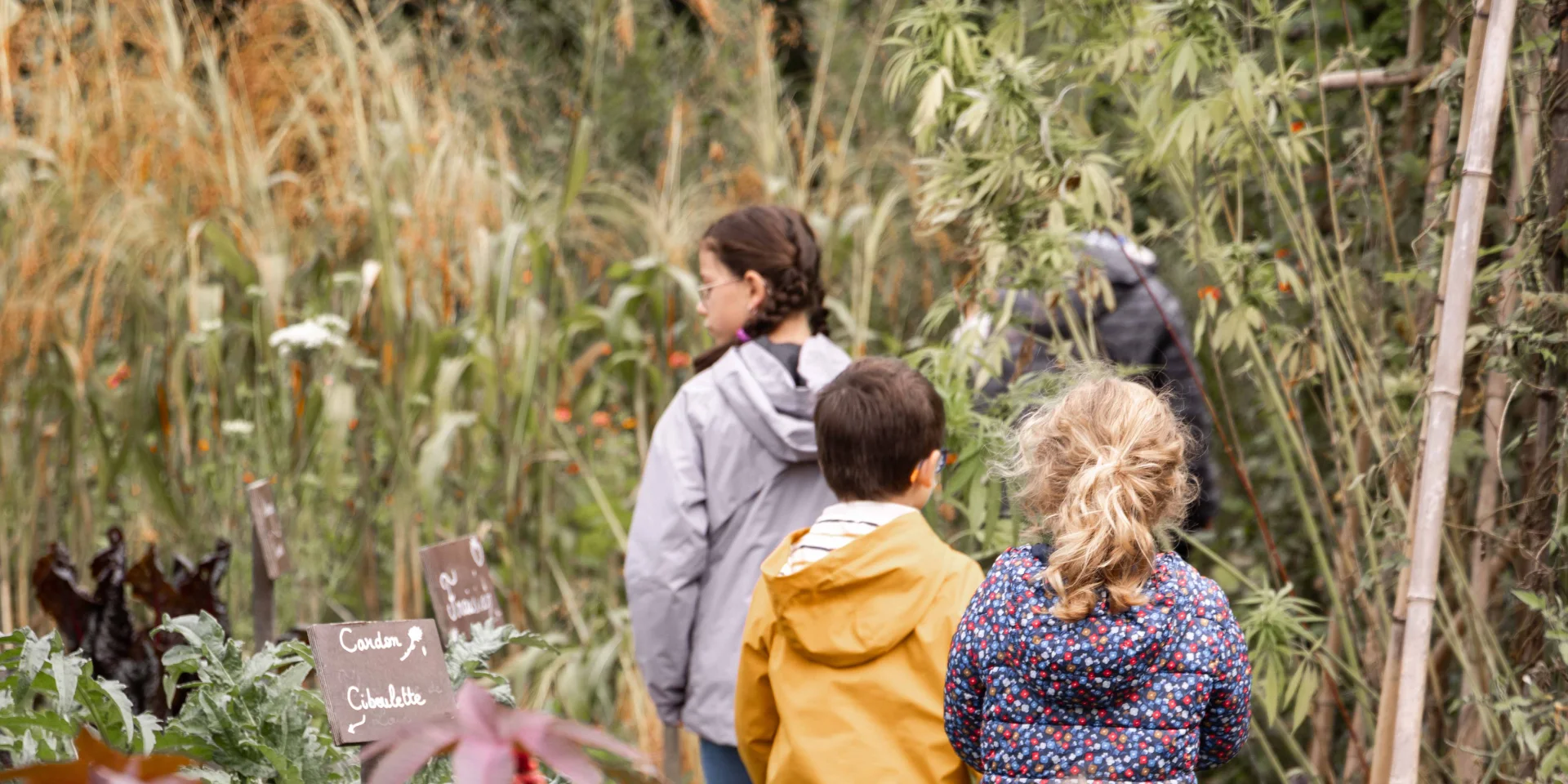 Fete Du Vincuit Ferme De La Foret Courtesmorgane Monneret 64