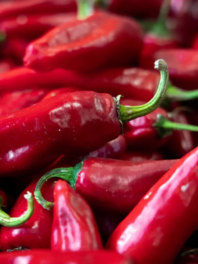 Piment De Bresse Ferme Du Tiret Foissiat