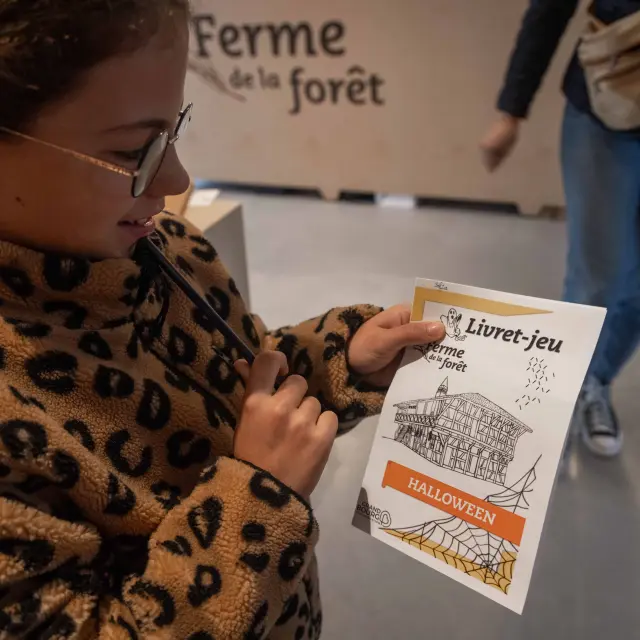 Ferme De La Foret Courtes Activite En Famille