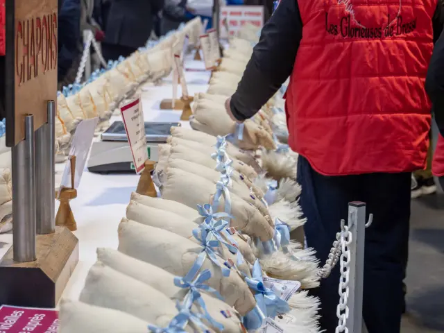 Glorieuses De Bresse Bourg En Bresse 2024