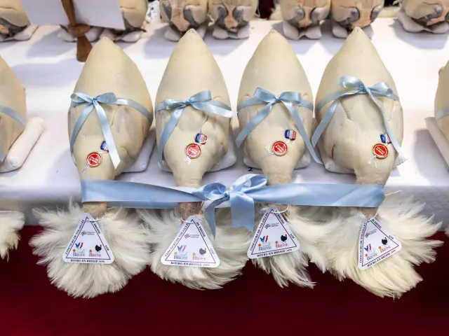 Glorieuses De Bresse Bourg En Bresse