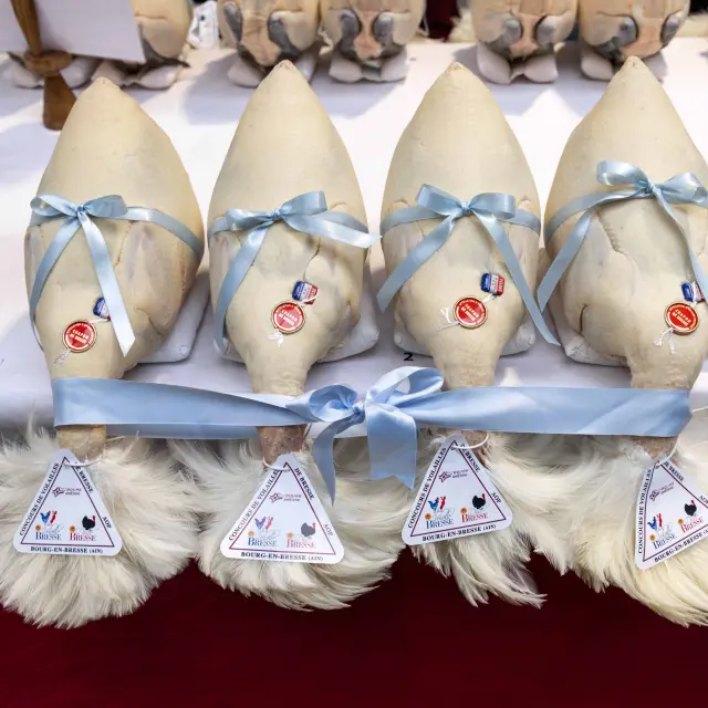 Glorieuses De Bresse Bourg En Bresse