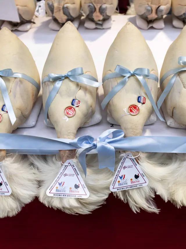 Glorieuses De Bresse Bourg En Bresse