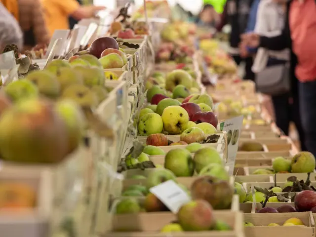 Marche Fruits Dautomne Cuisiat 2024