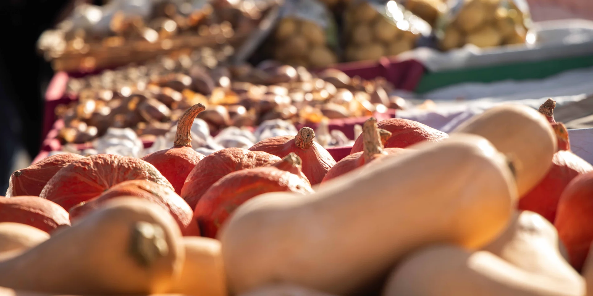 Marche Fruits Dautomne Cuisiat 2024