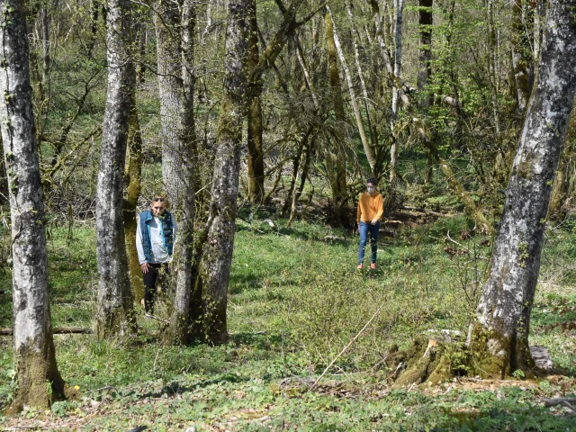 Gour De La Rande Bois Du Clapay Nivigne Sur Surands Otbbb 45
