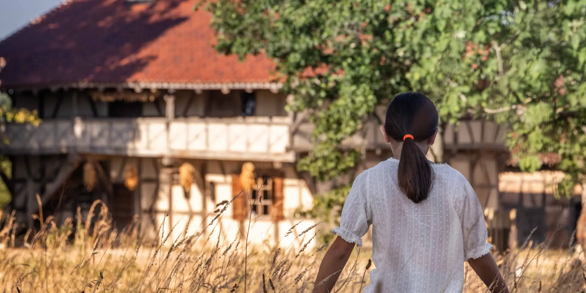 Ferme de la Forêt été 2025