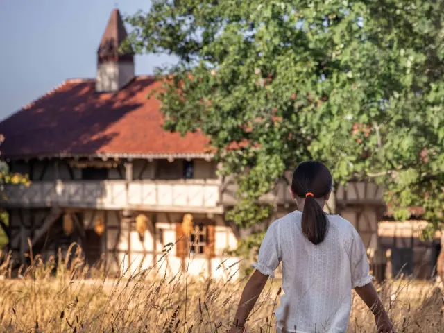 Ferme de la Forêt été 2025