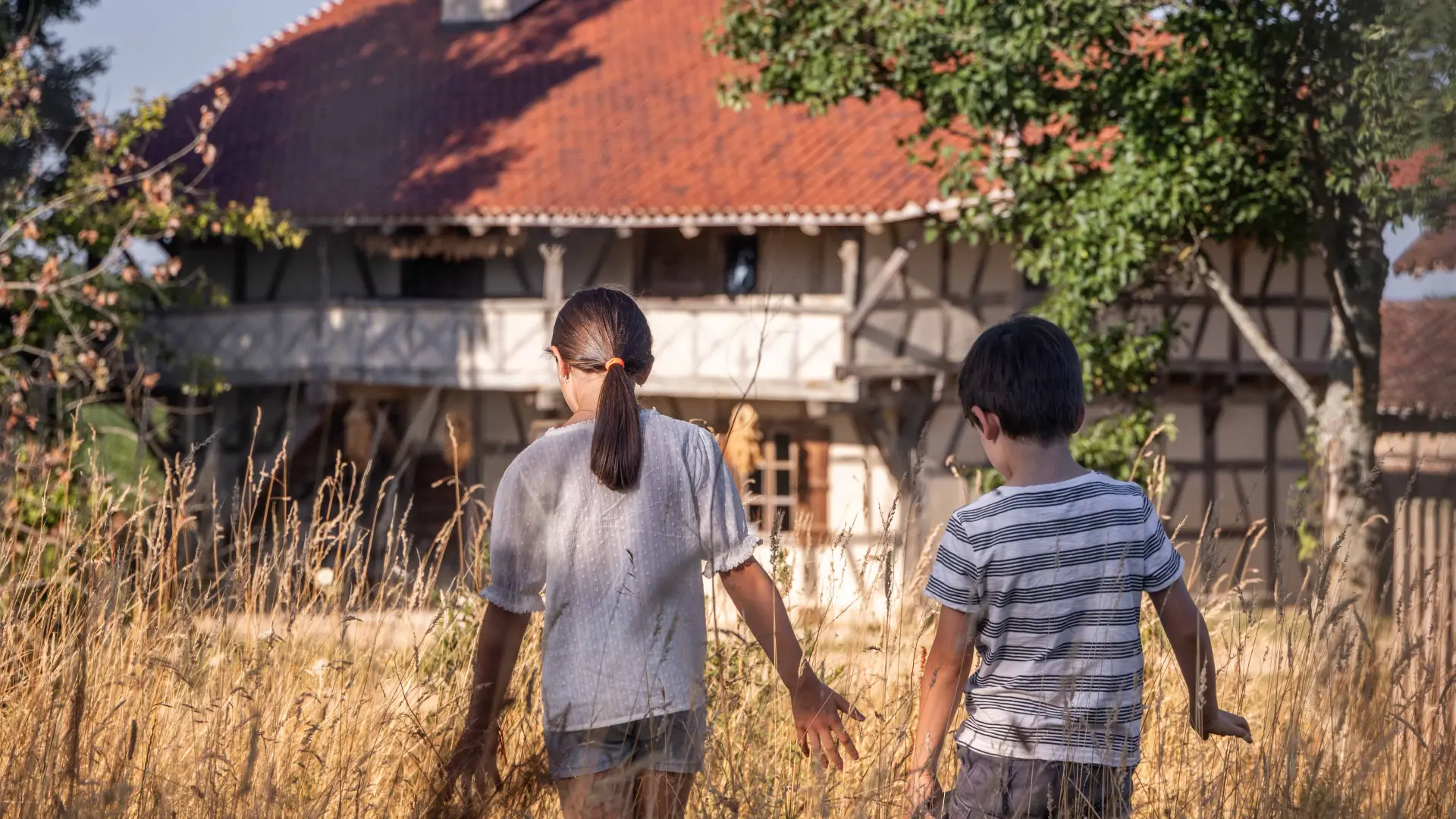 Ferme de la Forêt été 2025