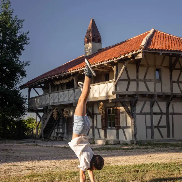 Ferme de la Forêt à Courtes - Ete