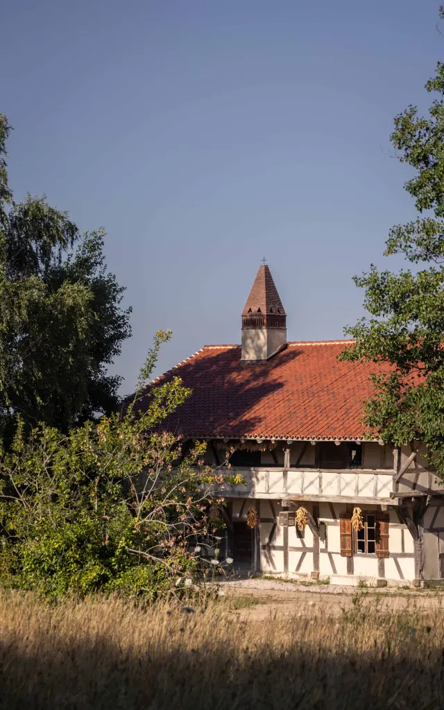 Ferme de la Forêt à Courtes - Ete