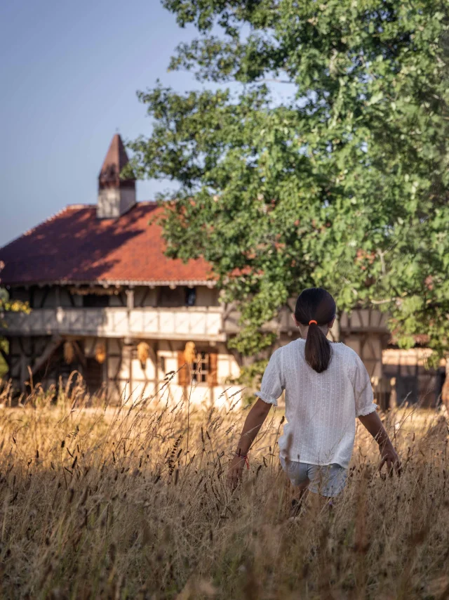 Ferme de la Forêt été 2025