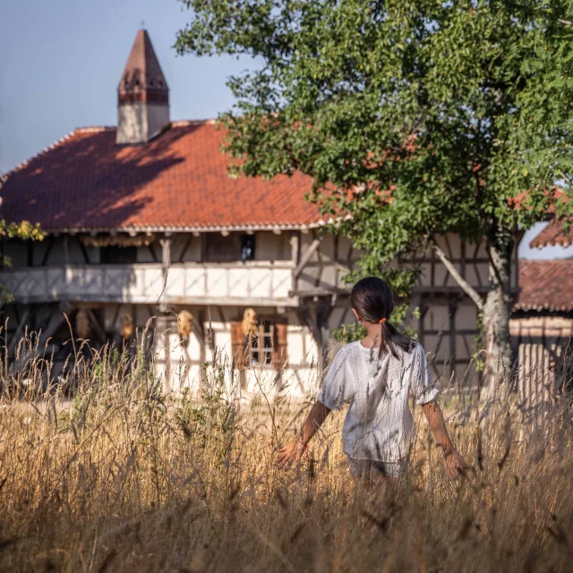 Ferme de la Forêt été 2025