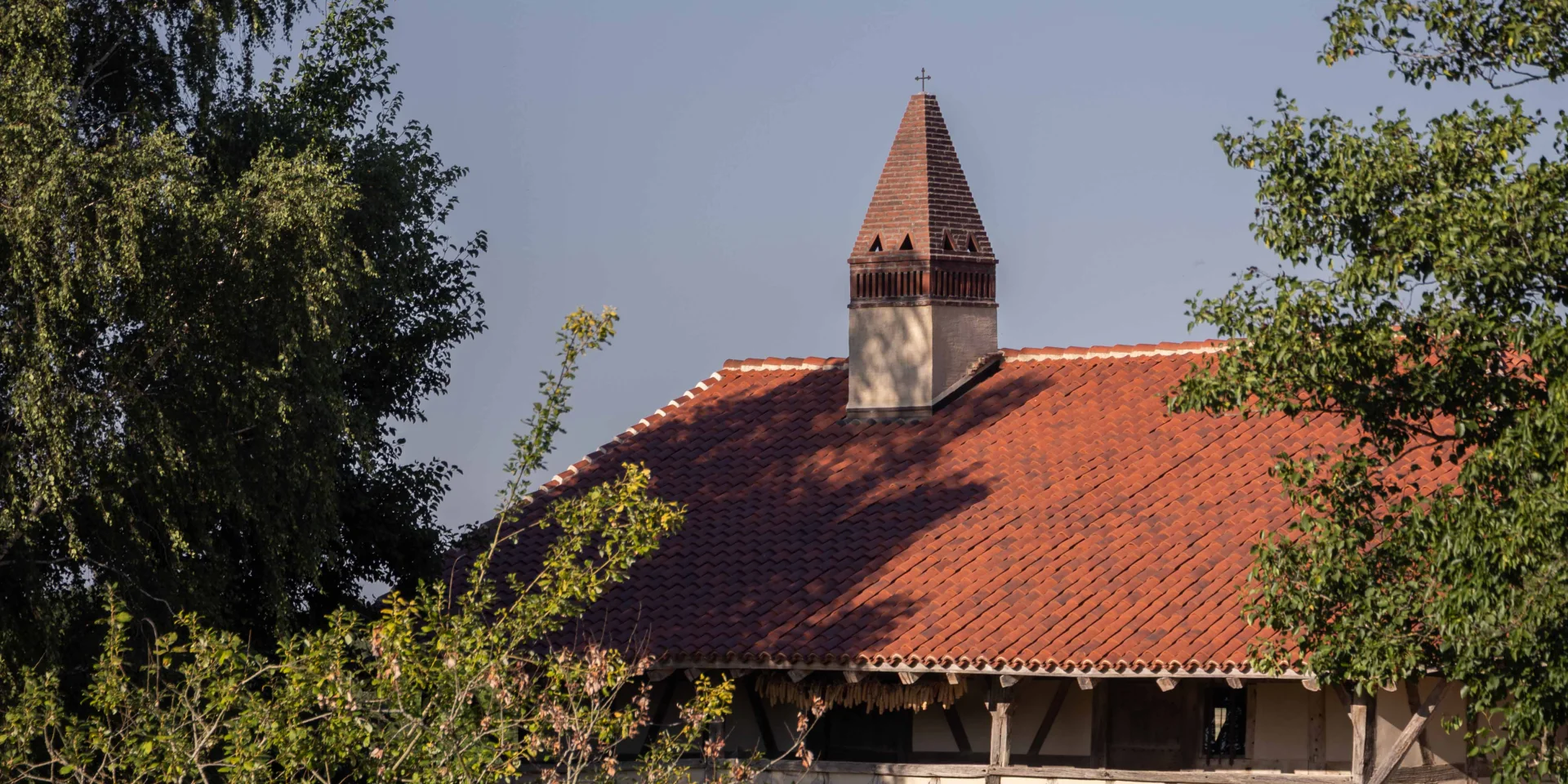 Ferme de la Forêt à Courtes - Ete