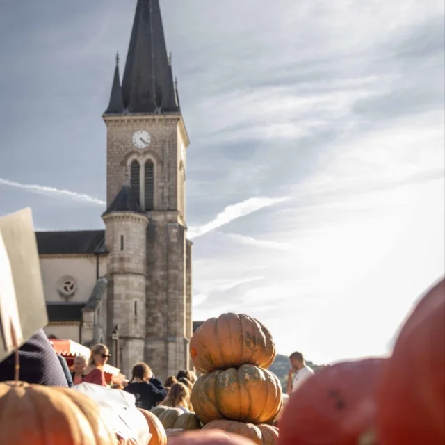 Instagram #bourgenbressedestinations
