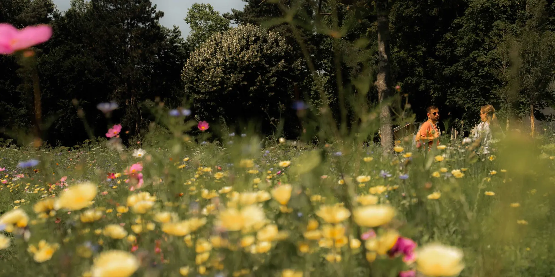 Parc de la Madeleine à Bourg-en-Bresse