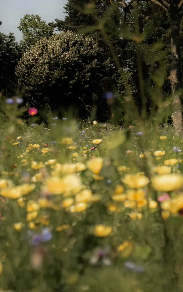 Parc de la Madeleine à Bourg-en-Bresse