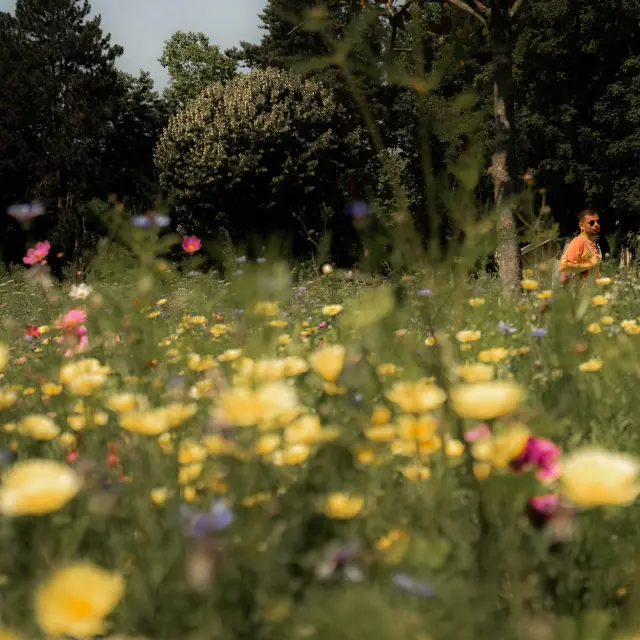 Parc de la Madeleine à Bourg-en-Bresse