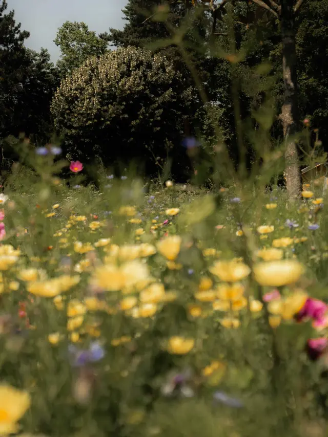 Parc de la Madeleine à Bourg-en-Bresse