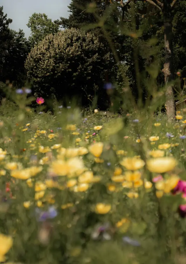 Parc de la Madeleine à Bourg-en-Bresse
