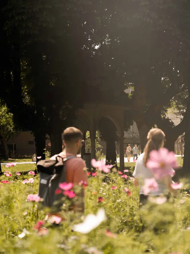 Parc de la Madeleine à Bourg-en-Bresse