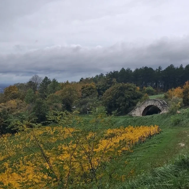 Instagram #revermont