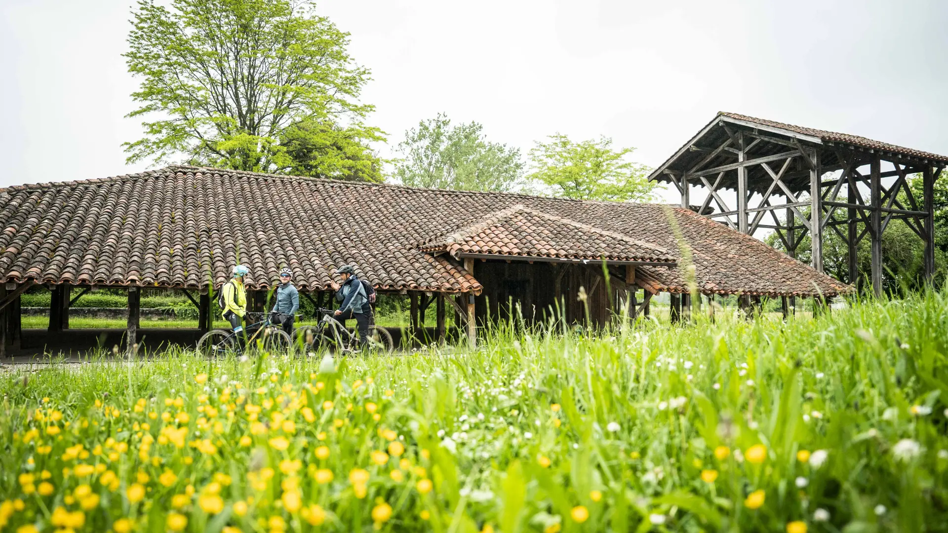 Vtt Bresse, Carronière à Saint-Trivier-de-Courtes
