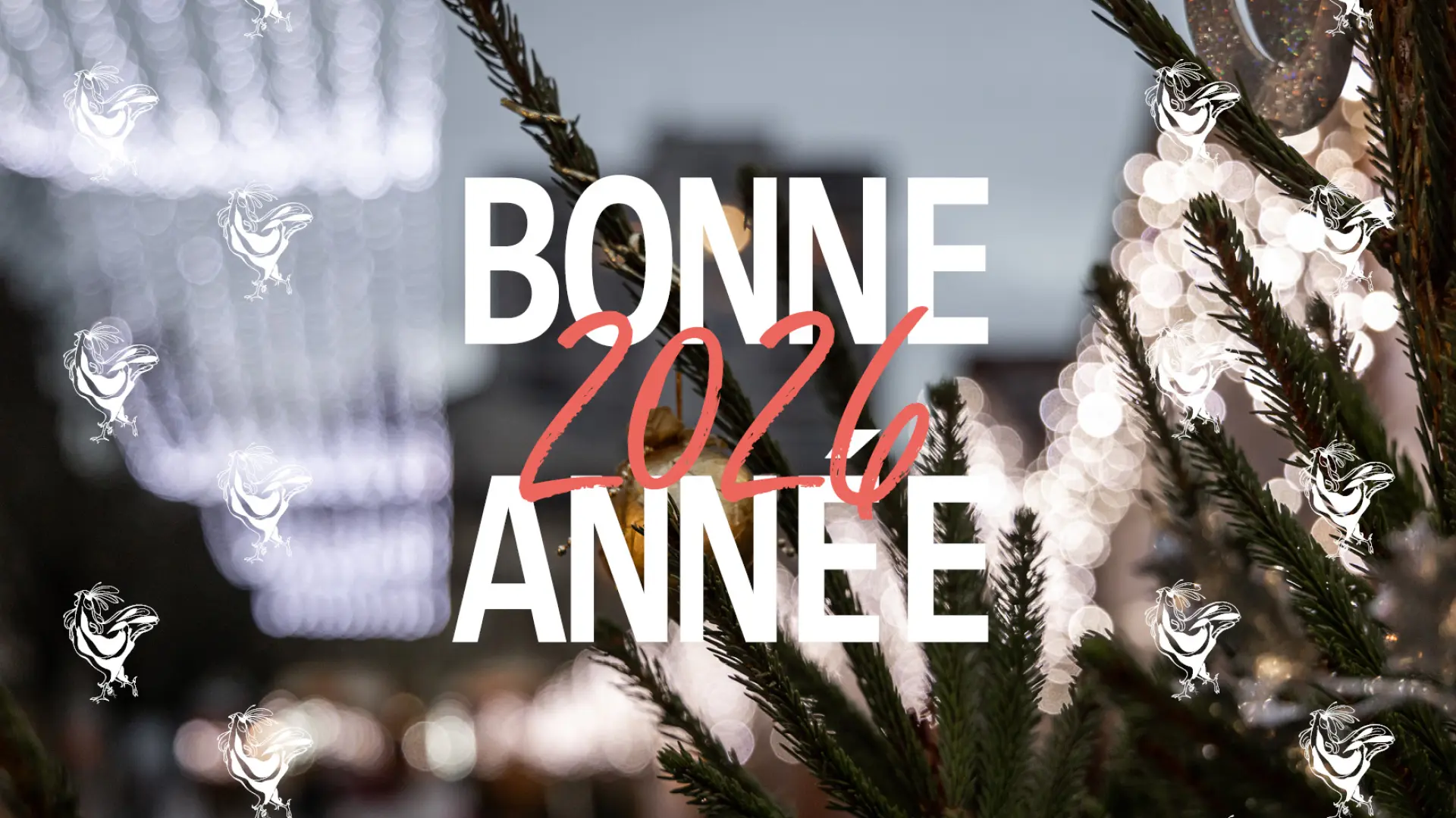 Cartes De Voeux 2026 4