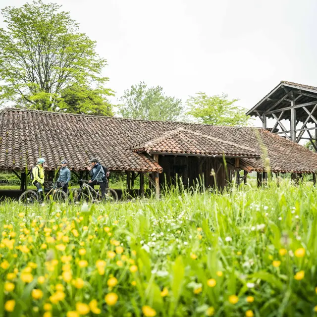 Vtt Bresse, Carronière à Saint-Trivier-de-Courtes