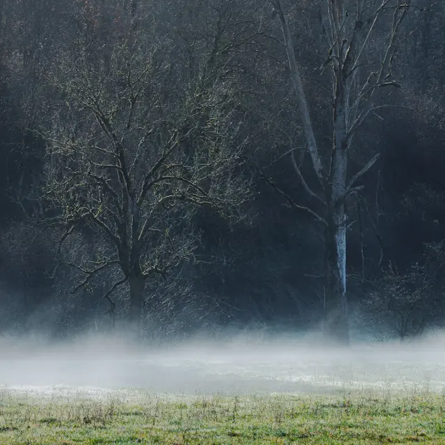 Instagram #revermont