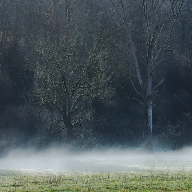 Instagram #revermont