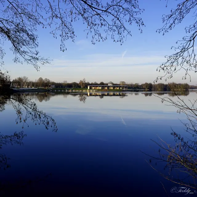 Instagram #laplainetonique