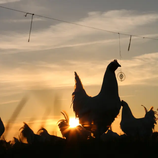 Instagram #bourgenbressedestinations