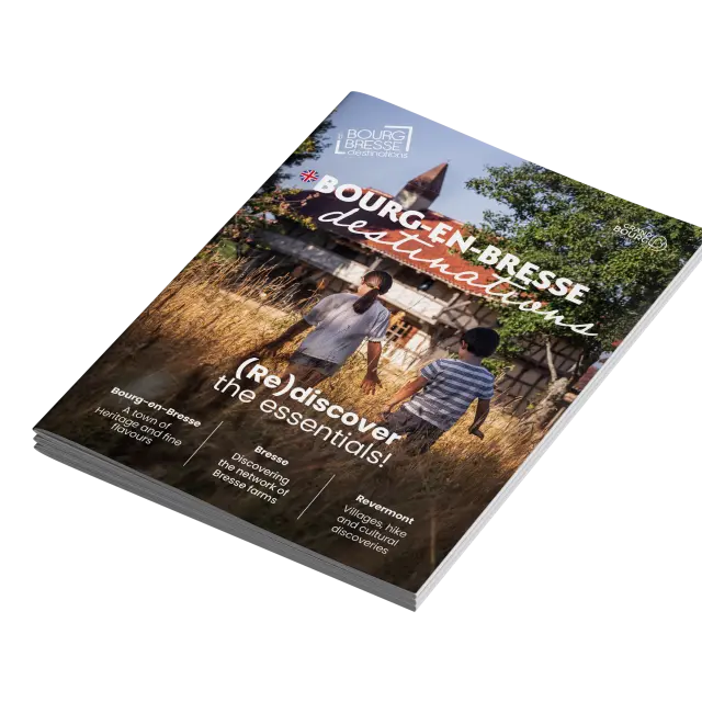 A4 Brochure Mockup 2