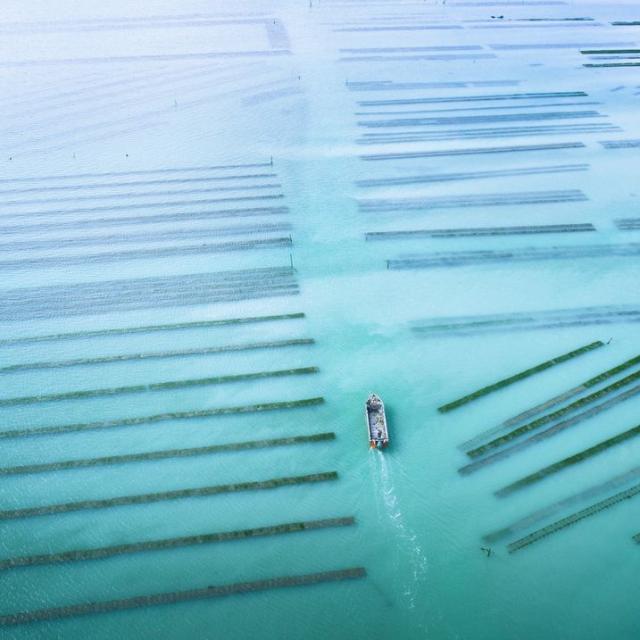 Oyster beds in Cancale