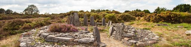 Megaliths on the moors of Cojoux in Saint Just, Brittany