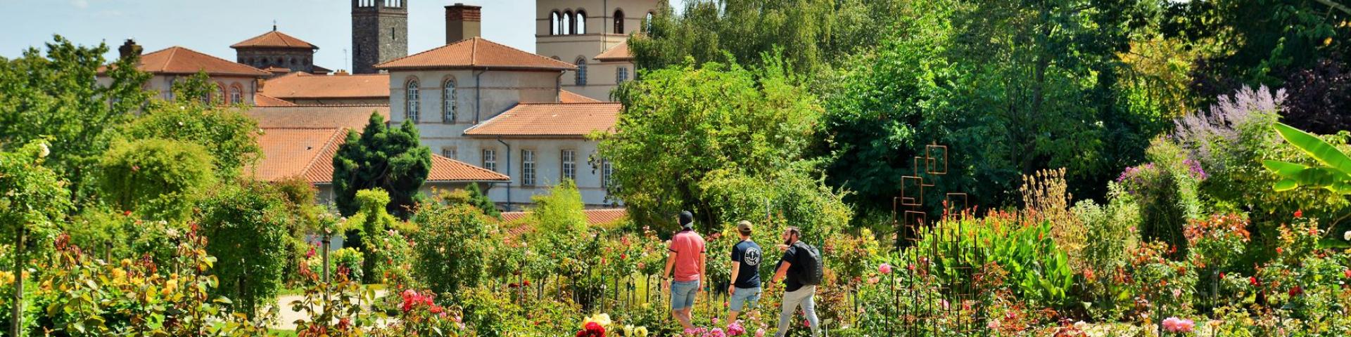 Rose garden in the Thabor Park in Rennes