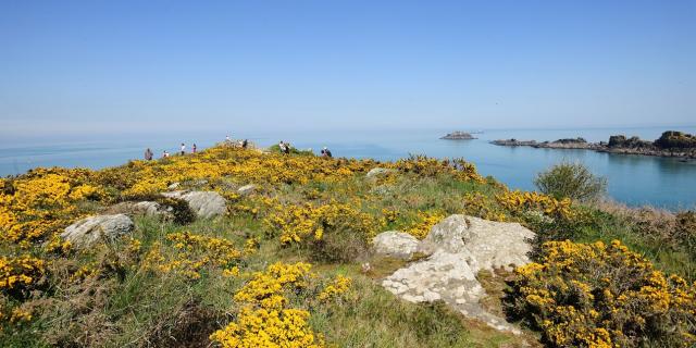 Pointe du Grouin in Cancale