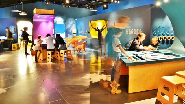Espace des Sciences in the Champs Libres in Rennes