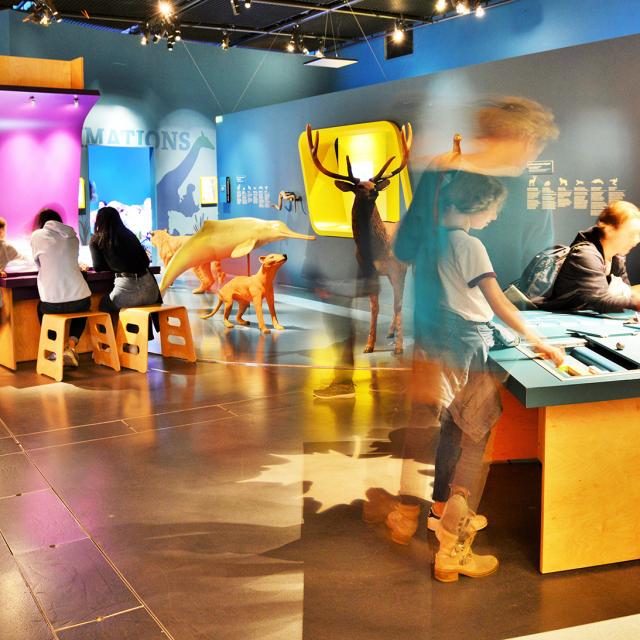Exposition à l'Espace des Sciences à Rennes