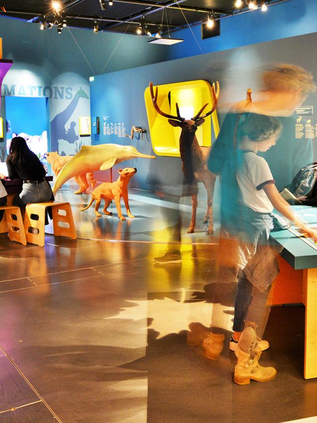 Espace des Sciences in the Champs Libres in Rennes
