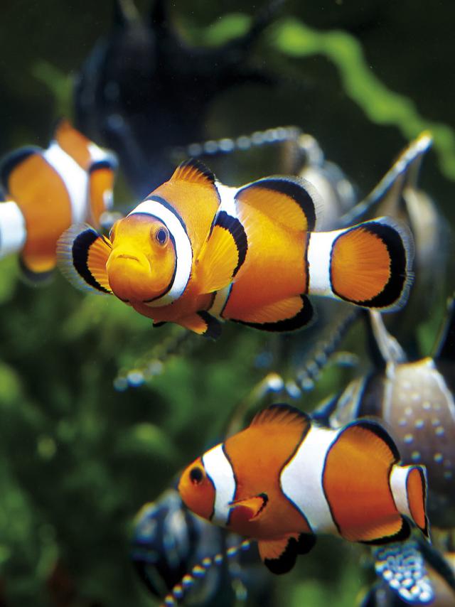 The Grand Aquarium in Saint-Malo
