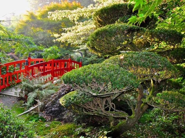 Pont rouge dans les Jardins du soleil levant au Parc botanique de Haute Bretagne