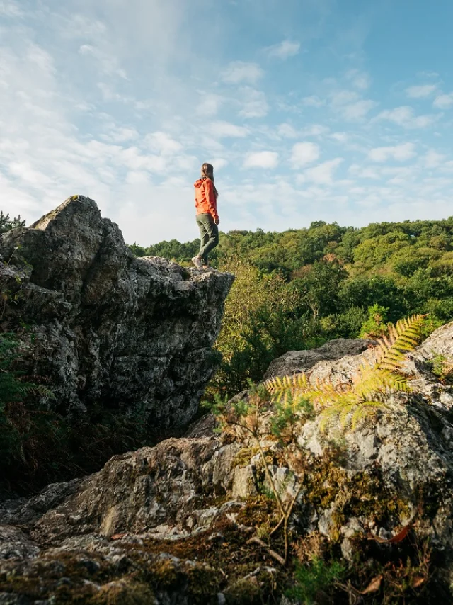 Les roches du Saut-Roland à Luitré-Dompierre